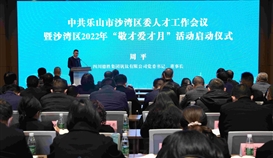 以高質(zhì)量人才保障助推企業(yè)高質(zhì)量發(fā)展，周平董事長參加區(qū)委人才工作會并發(fā)言