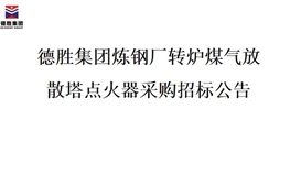德勝集團煉鋼廠轉(zhuǎn)爐煤氣放散塔點火器招標項目